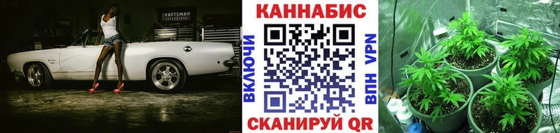 Какие есть наркотики Иланский Конопля  Амфетамин  Псилоцибиновые грибы  СОЛЬ  ГАШ 