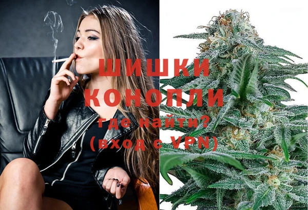 Альфа ПВП Медногорск