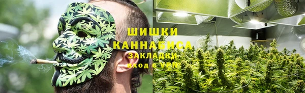сатива Медвежьегорск