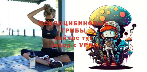 эйфоретик Мегион