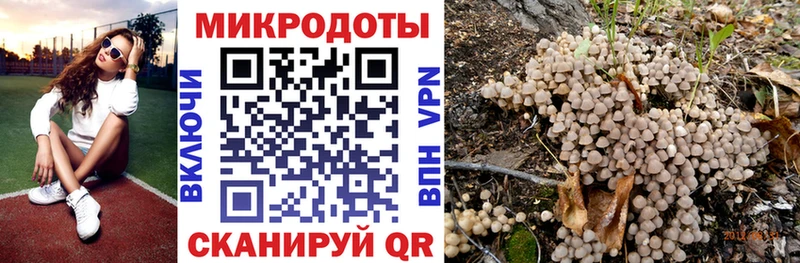Псилоцибиновые грибы Psilocybe  купить   сайты даркнета Telegram  Иланский 
